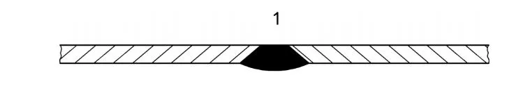 استانداردهای ما 8 Capture